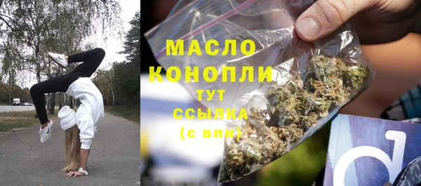 спиды Богородицк