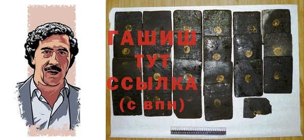 спиды Богородицк