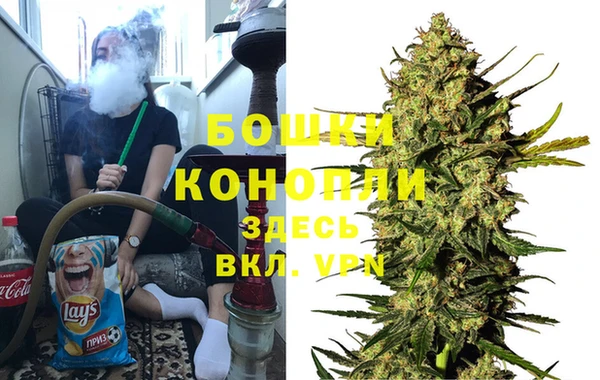 спиды Богородицк